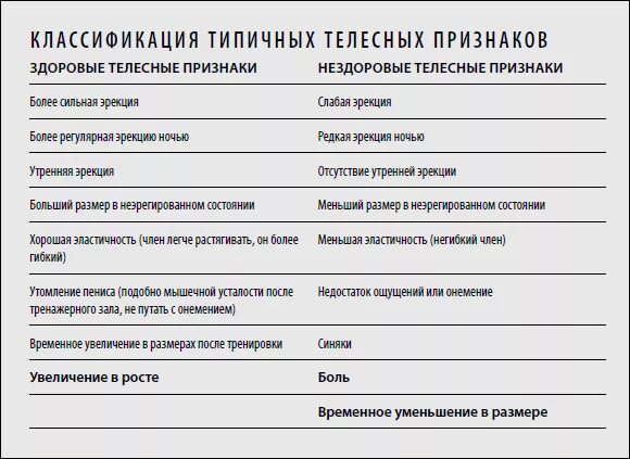 От чего зависит размер агрегата мужчины