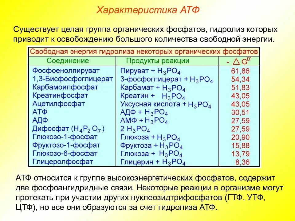 Атф ростов. АТФ относится к группе. Фосфатная группа АТФ. Характеристика АТФ. Характеристика АТФ таблица.