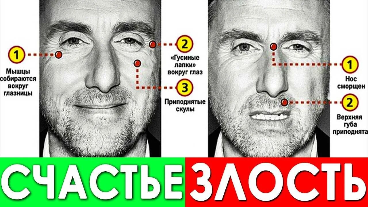 По жестам и мимике понять человека. Распознавание лжи по мимике. ложь по мимике и жестам. распознать ложь по мимике и жестам. эмоции человека который врет.