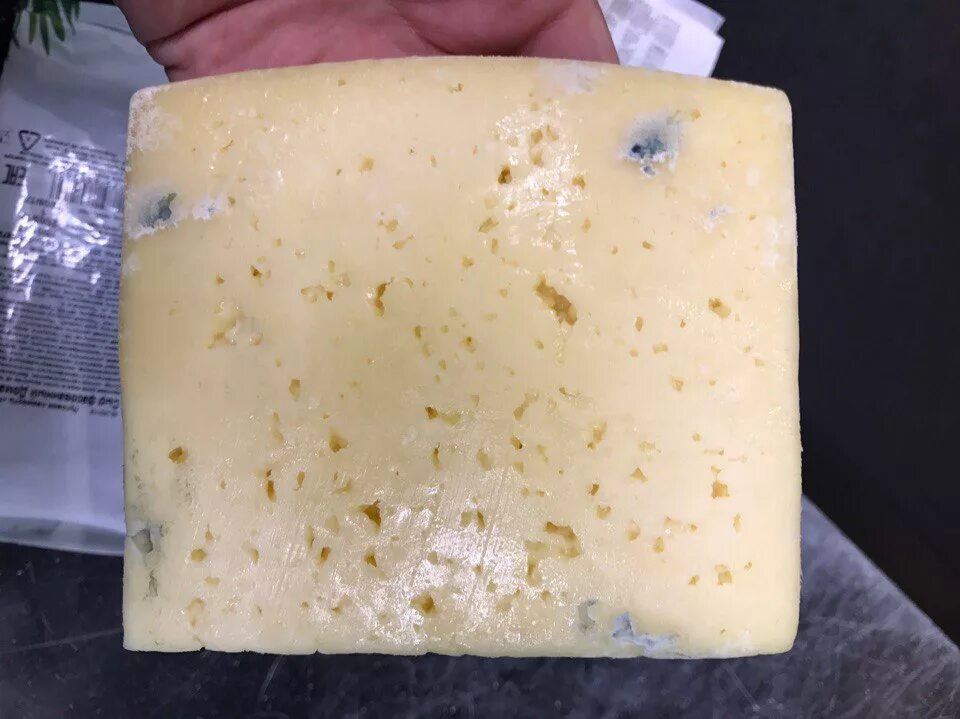 Можно есть просроченный сыр. Испорченный сыр. Сыр с плесенью. Сыры с плесенью. Сыр пармезан с плесенью.
