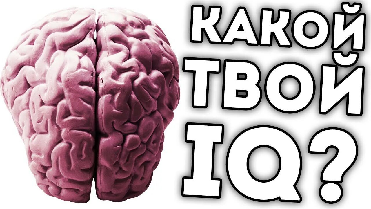 Знак айкью интеллекта. IQ картинки. Мозг айкью. Низкий IQ.