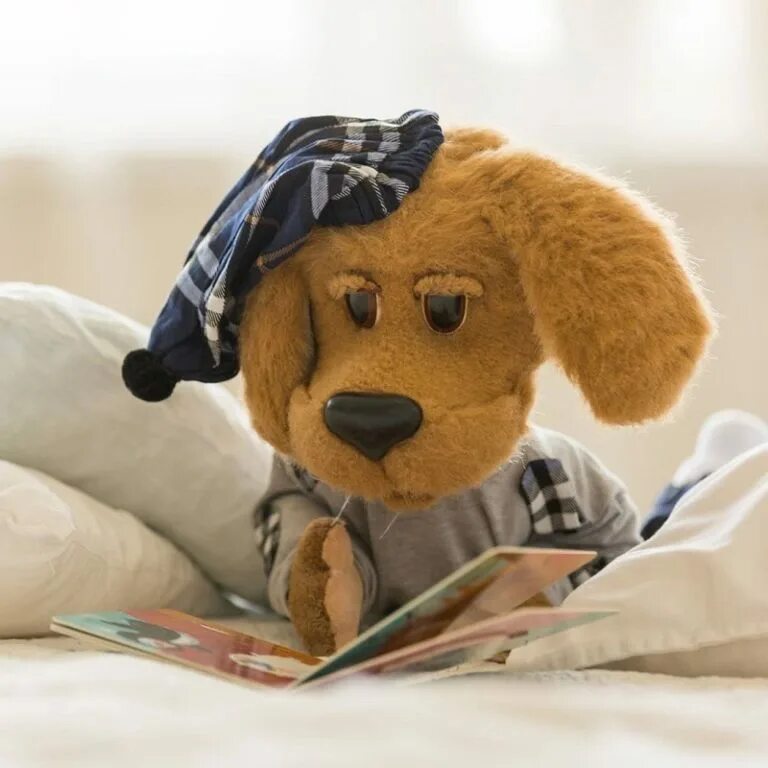 Как зовут персонажей спокойной ночи. Как зовут персонажей спокойной ночи. Юрий григорьев в передаче спокойной ночи малыши. Степашка и мишутка. Как зовут персонажей спокойной ночи.