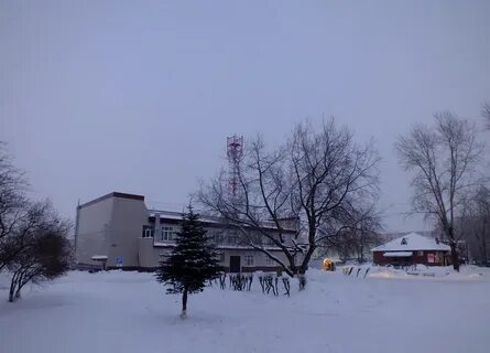 Погода гамово