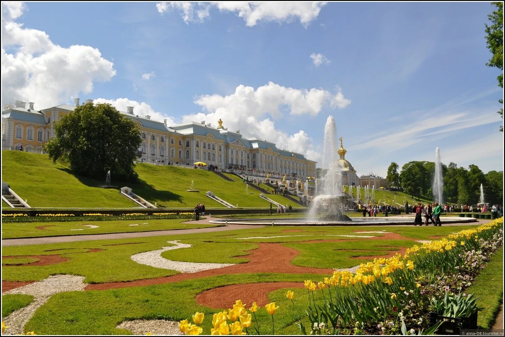 Петергоф сыктывкар. Петергоф партерные цветники. партерный парк петергоф. петергоф парк клумбы. петергоф партеры нижнего парк.