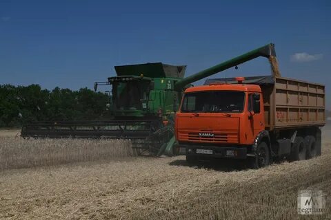 Фермеры продали 1364 т пшеницы