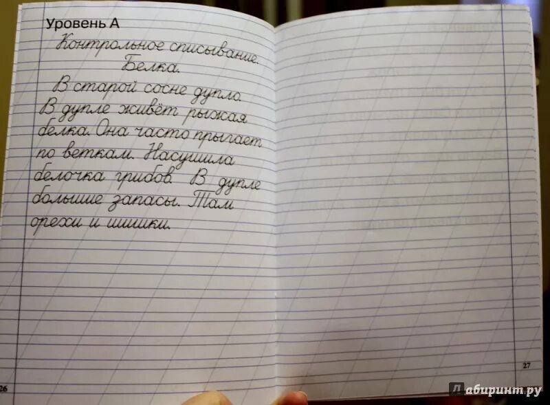 Чистописание тренажер жиренко лукина. Тренажёр по чистописанию 1 класс Жиренко. Тренажёр по чистописанию 2 класс Жиренко. Тренажер Жиренко 1 класс. Тренажёр по чистописанию 1 класс.