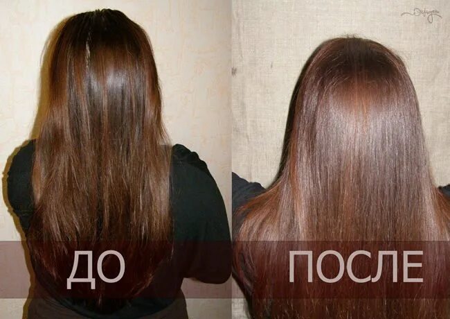 окрашивание волос луковой шелухой. луковая шелуха для волос. цвет волос кора дуба. дуб кора. отвар дуба для волос.