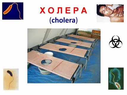 Холера на борту