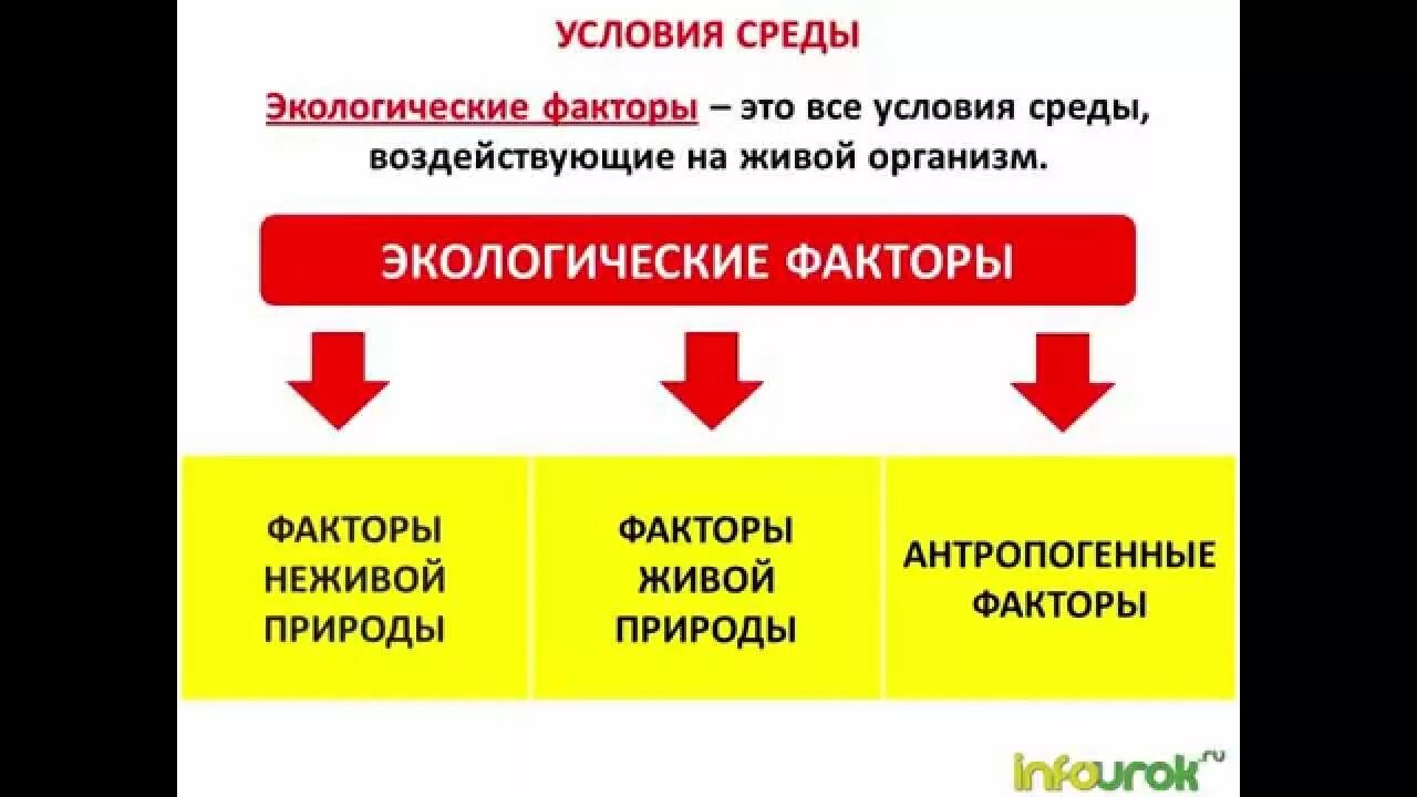 Экологические факторы. Экологические факторы среды. Экологические факторы это в биологии. Схема экологические факторы.