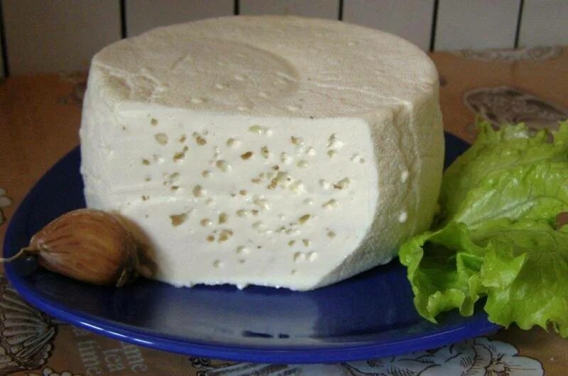 Для разрезания брынзы. Домашний сыр. Сыр брынза в домашних. Брынза домашняя. Домашний сыр из молока.