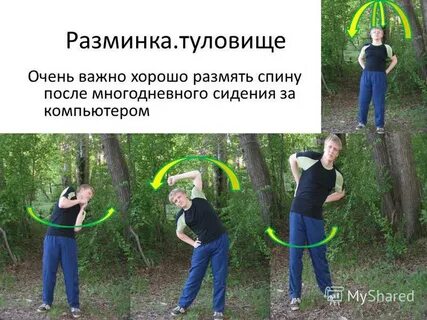 Разминка туловища