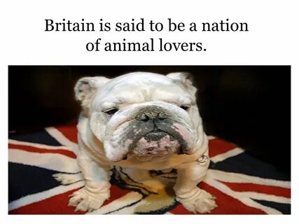 The british are said