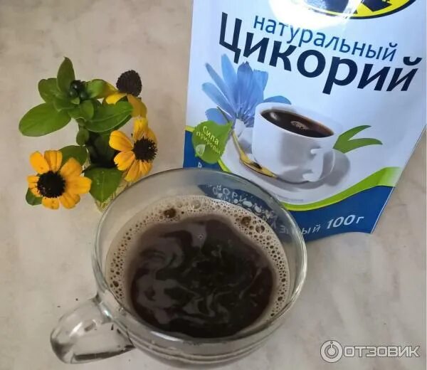Можно ли пить цикорий перед сном. Цикорий готовый напиток. цикорий в стакане. кофе цикорий для детей. напиток из цикория и как его готовят.