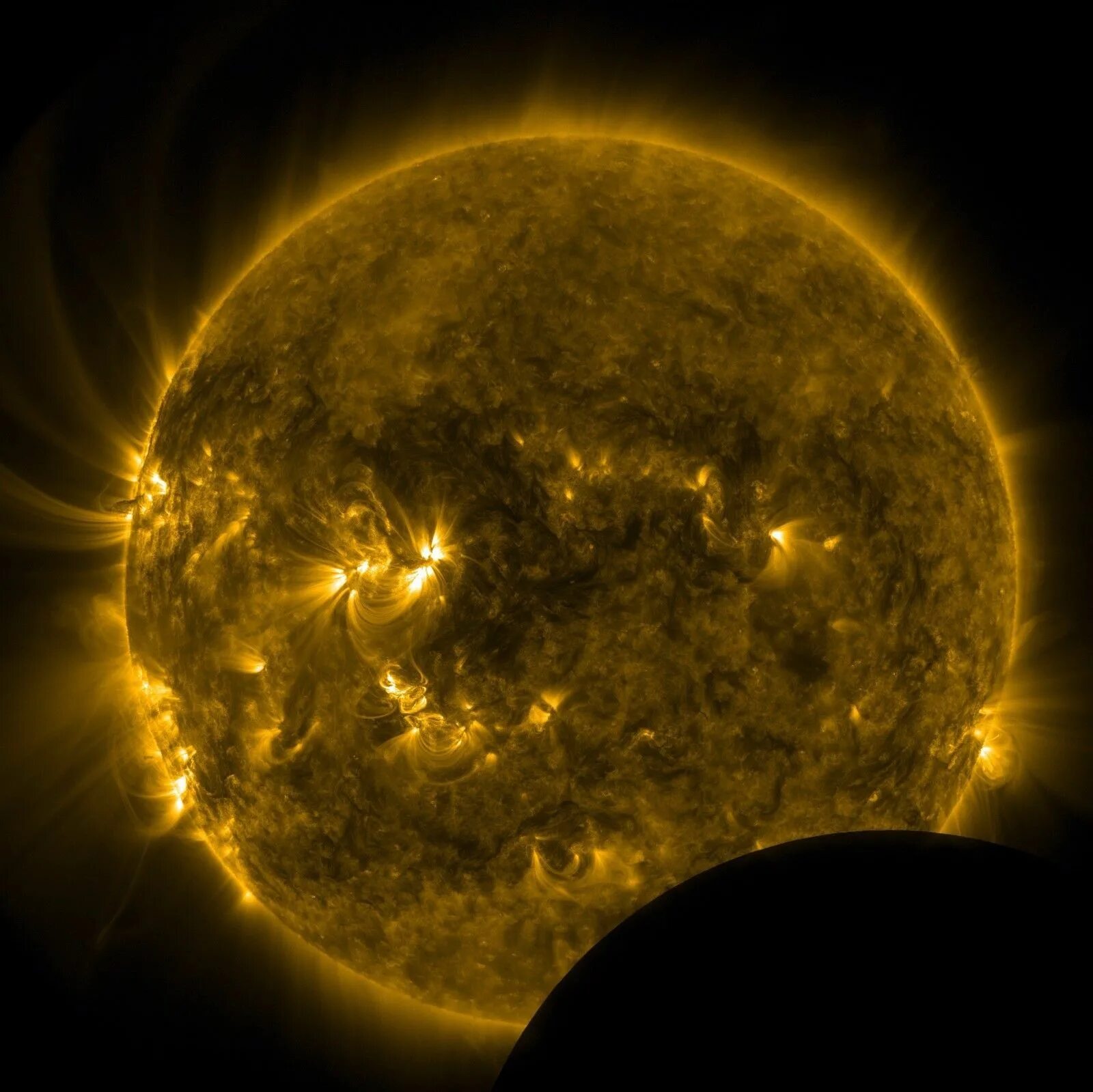 New sun 3. Солнце. Снимки солнца. Солнце вид из космоса. Настоящие снимки солнца.