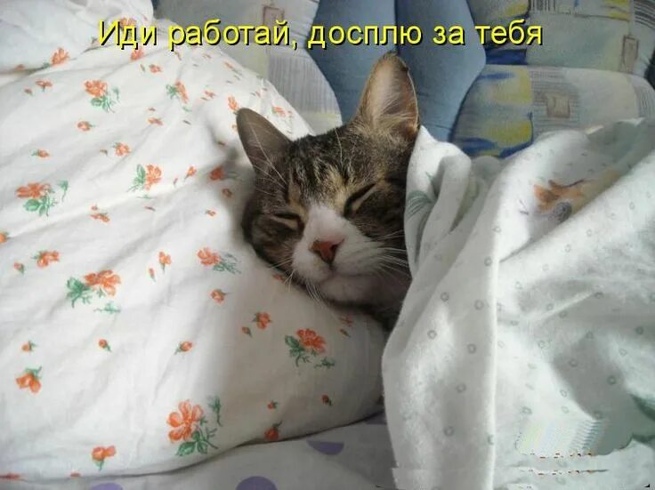 Ты работаешь вообще то