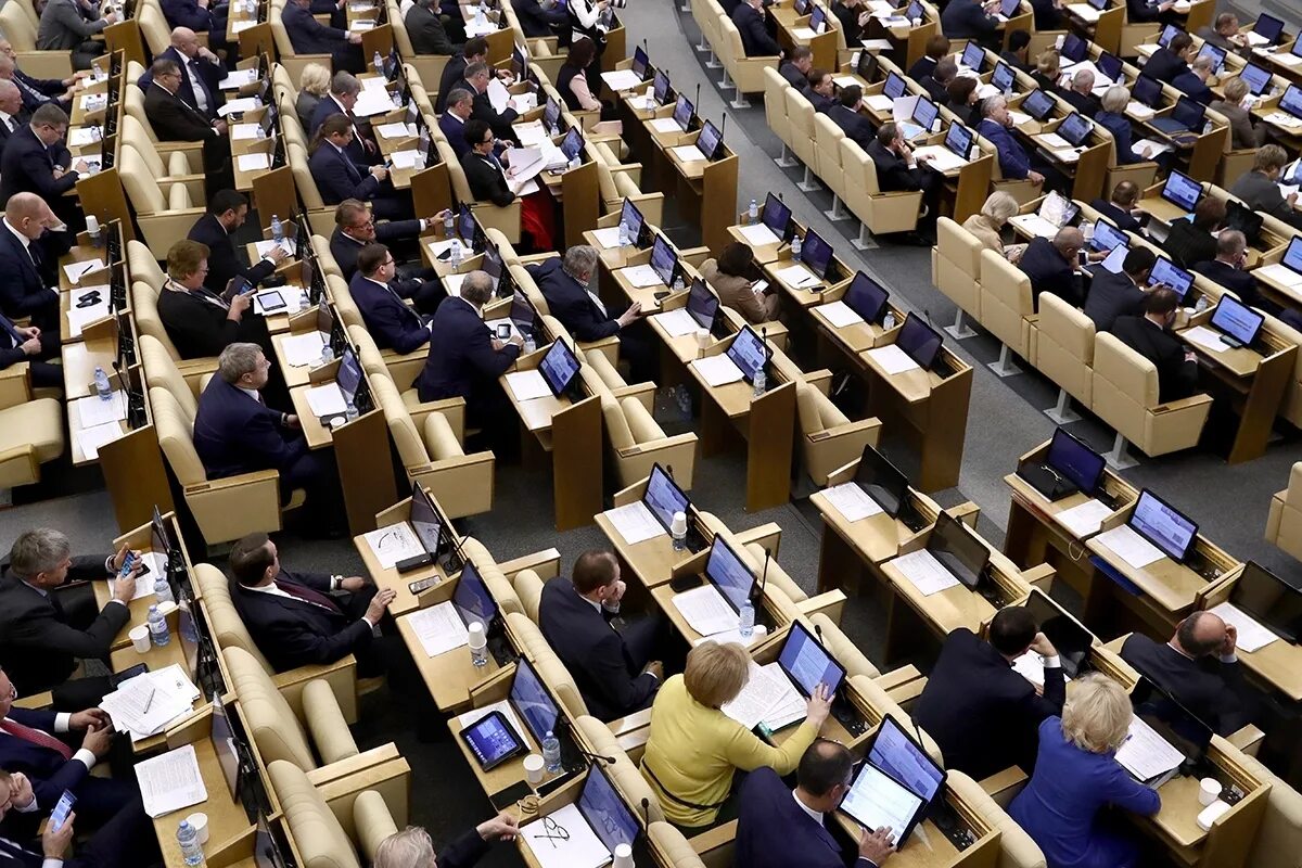 Голосование в государственную думу. Второе чтение в госдуме. голосование в думе. госдума рф. государственная дума голосование.