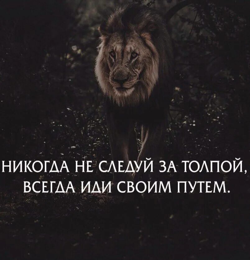 Все всегда никогда всем всегда никто. Никогда не Следуй за толпой всегда иди своим путем. Всегда иди своим путем. Идти своим путем цитаты. Цитаты иди своим путем.