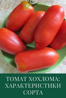 Сорт хохлома отзывы