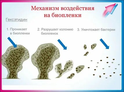 Разрушение бактерий