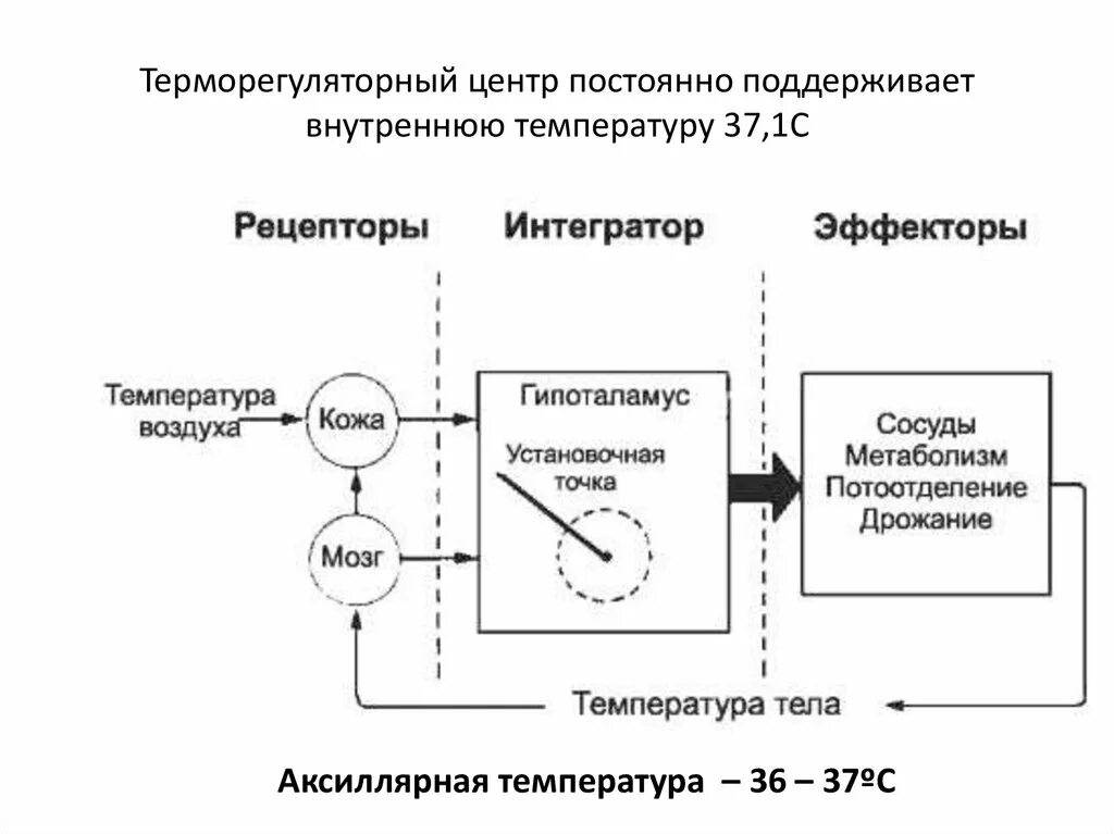 Модель устройства поддержка