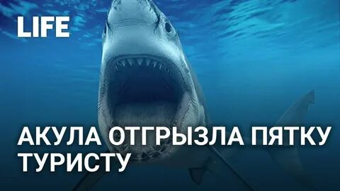 Откусила ноги шизоняшки