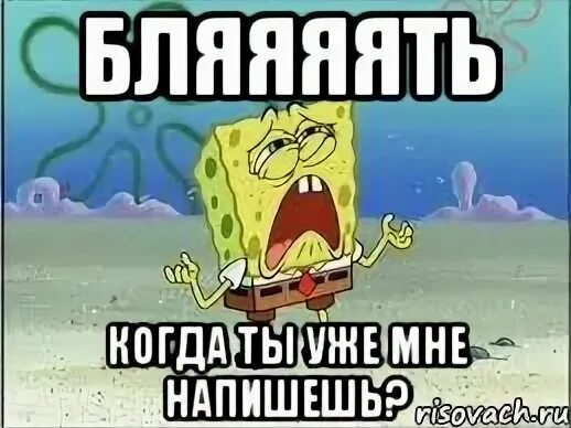 Сука сука пишет мне