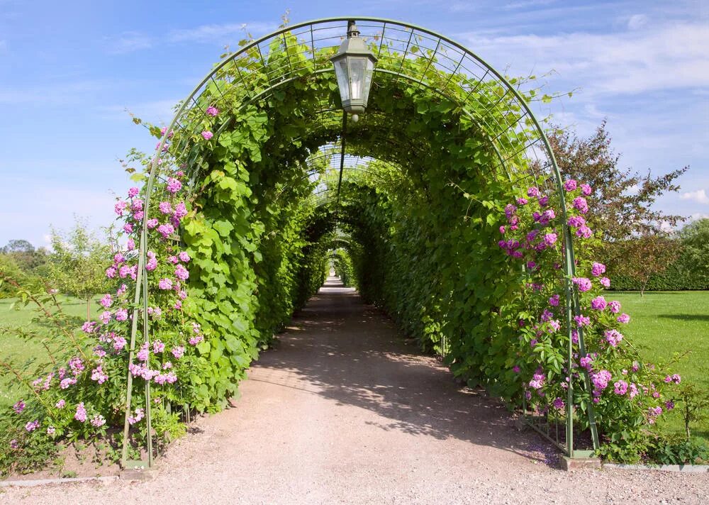 арка шпалера гарденпласт. гарденпласт арки садовые. Garden marble arch роза. арка садовая проф-металл ас 3. пергола берсо.