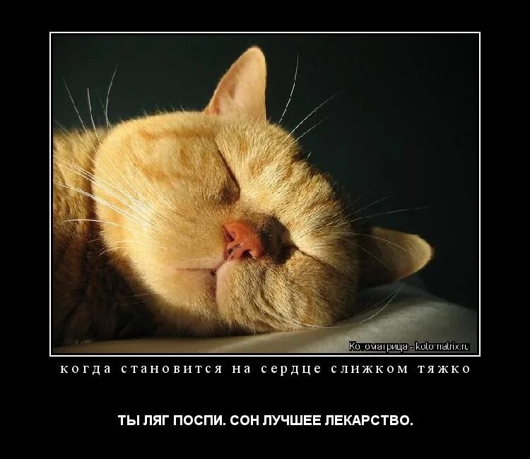 Что делать когда ложишься спать закладывает нос. Как спать когда заложен нос. Ложимся спать. Открытки засыпаю. Когда она ложилась спать слушать.