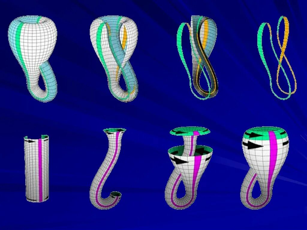 Бутылка Клейна 4д. Лента Мёбиуса и бутылка Клейна. Бутылка Клейна 4 в мерном пространстве. Бутылка клейна это