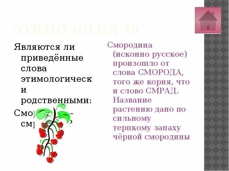 Сорок являться