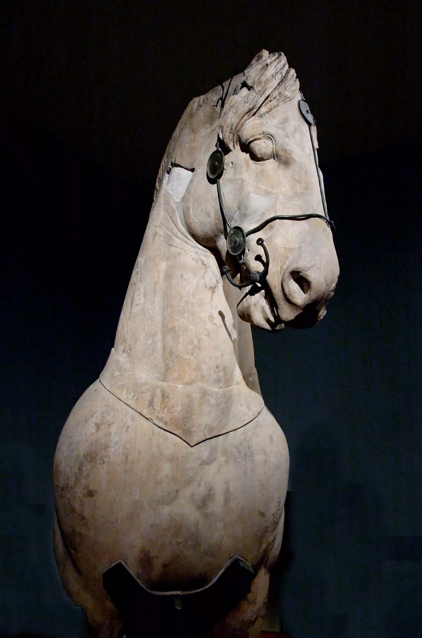 Греческий конь. Британский музей скульптуры Галикарнасского мавзолея. Галикарнасский мавзолей статуи лошадь. Британский музей Геликарнасе. Скульптура лошади.