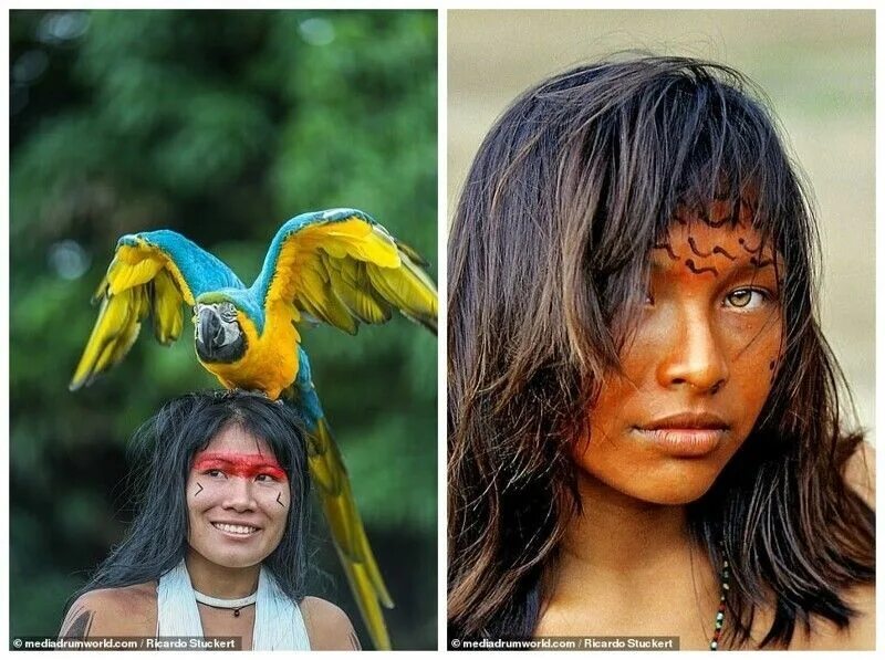 Где живет бразилия. Индейцы коренные жители Бразилии. Бразилия индейцы амазонки. Бразилия Амазония племена. Индейцы Бразилии в Амазонии.