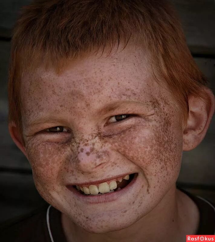 рыжий конопатый мальчик. мальчик с веснушками. рыжий мальчик. мальчик с веснушками. рыжие люди.