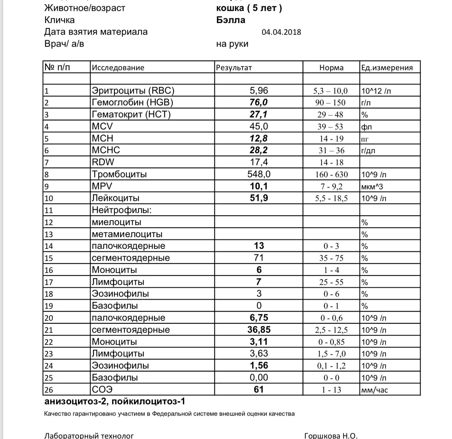 Норма лимфоцитов в крови у кошки. Норма СОЭ У кошек. Эозинофилы в крови у кошки норма. Исследование крови кошки. Лимфоциты повышены кошка