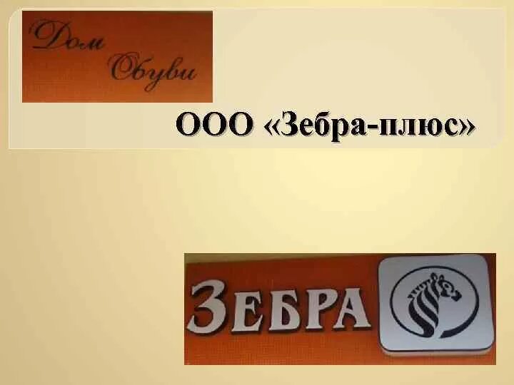 Плюсы ООО. ООО «Зебра дизайн Брендинг». ООО Зебра. ООО Зебра Саратов.