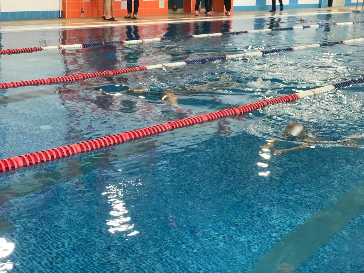 Бассейн лагуна вологда. Бассейн лагуна мамадыш. Бассейн лагуна мамадыш. Лагуна димитровград бассейн. Мамадышский бассейн лагуна.