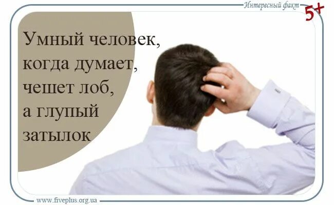 В лоб хочешь. Умные люди чешут затылок. Человек чешет голову. Интересные люди. Почесывает затылок.