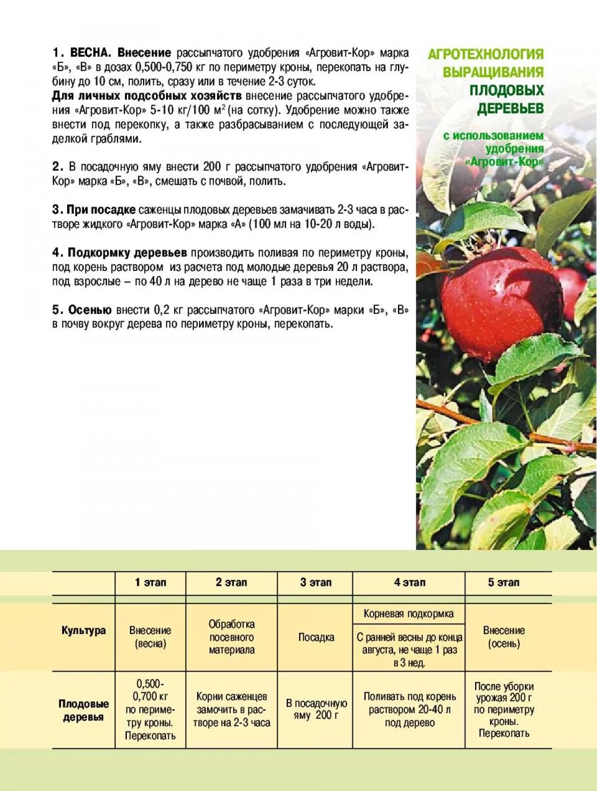 Чем обработать вишню после цветения. Схема удобрения плодовых деревьев. Таблица весенней подкормки плодовых деревьев. Схема удобрения яблонь. Схема внесения удобрений для яблонь.