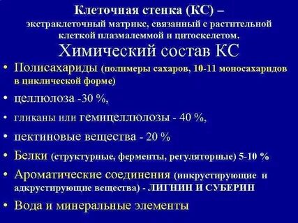 Роль клеток цветка