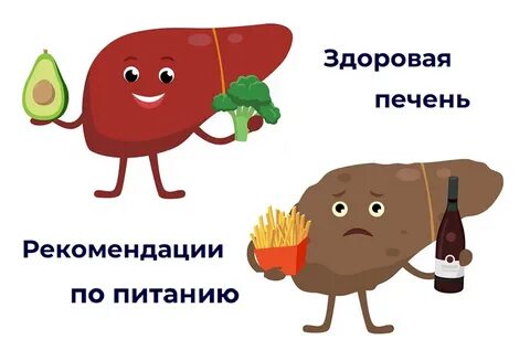 Для поддержания здоровья печени