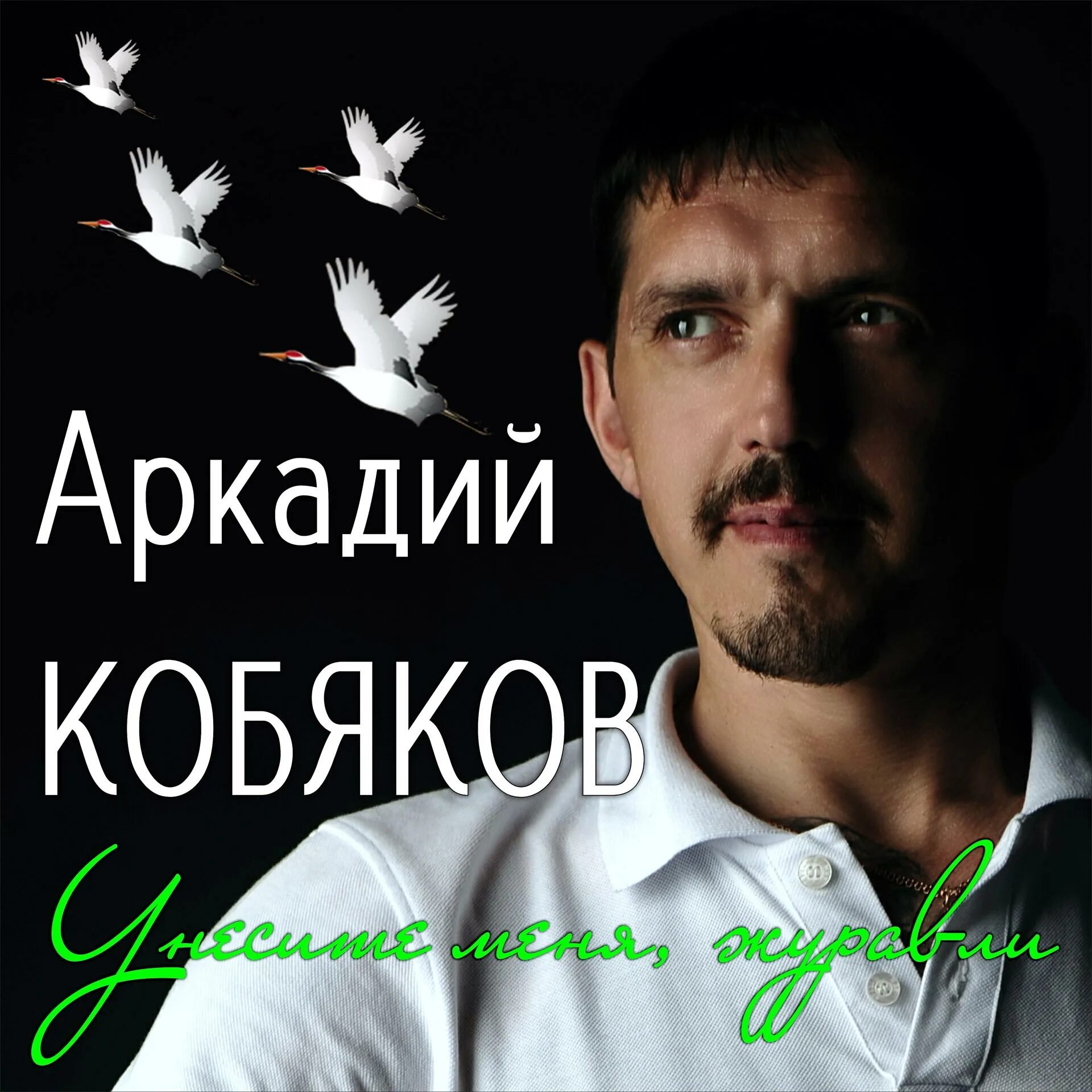 Песни кобякова слушать альбомы. Унесите меня Журавли Кобяков. Кобяков Журавли.