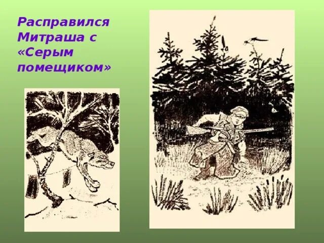 Кладовая солнца видео. Пришвин кладовая солнца Митраша. Рачев иллюстратор кладовая солнца. Пришвин кладовая солнца серый помещик. Кладовая солнца волк серый помещик.