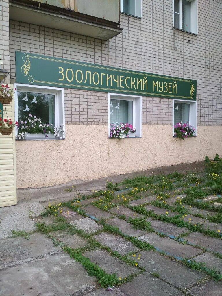 зоологический музей нововятск. зоомузей киров ленина 160. кировский городской зоологический музей. кировский городской зоологический музей, ленина 160. кировский городской зоологический музей сотрудники.