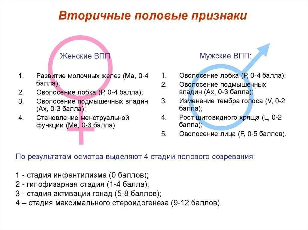 Вторичные половые признаки у мужского пола формируются в:. Последовательность вторичных половых признаков. Первичные и вторичные половые признаки анатомия. Формирование половых признаков. Половое созревание у мальчиков таблица.