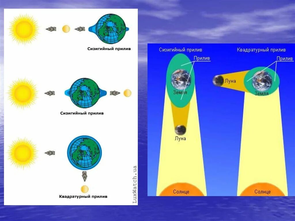 Сизигия это. Сизигийные приливы схема. Сизигийный и квадратурный. Сизигия и квадратура приливы. Квадратурный прилив.