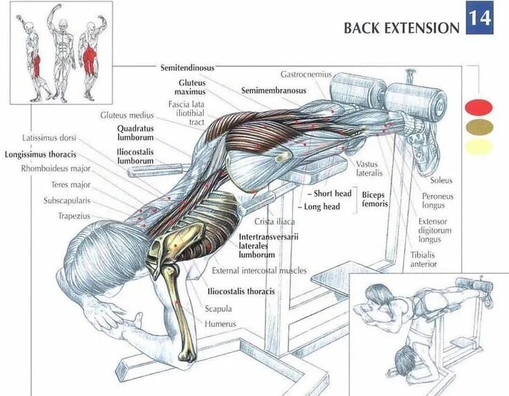 Be extension
