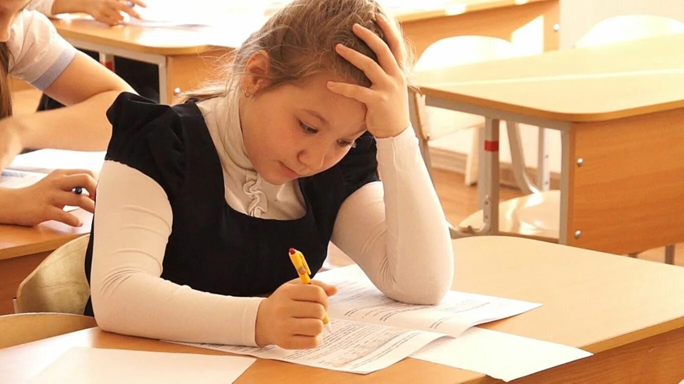 Писать контрольную