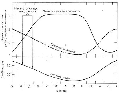 Плотность рыбы