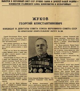 Союз жуковых