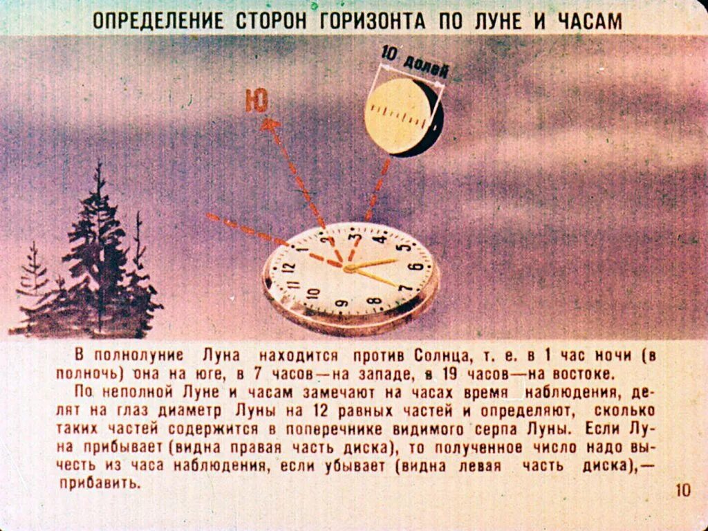 Сутки сторону. Способы ориентирования по азимуту. Определение сторон горизонта по Луне и часам. Ориентироваться по азимуту на местности. Определить стороны света по часам.